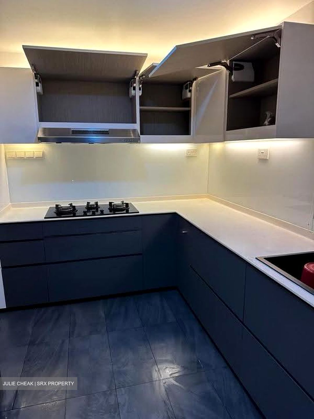 Dahlia Park Condominium (D17), Condominium #636935621